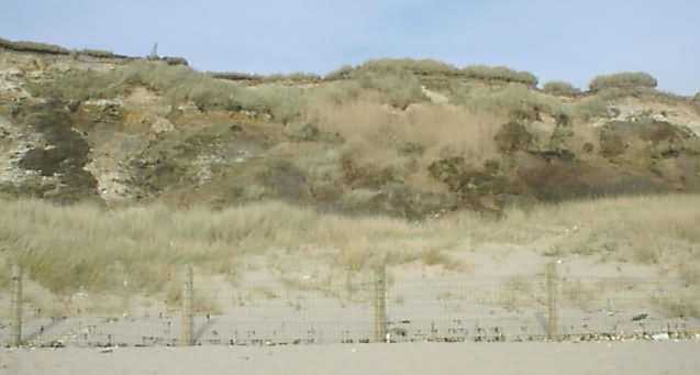 Hengistbury Head Sand Dunes