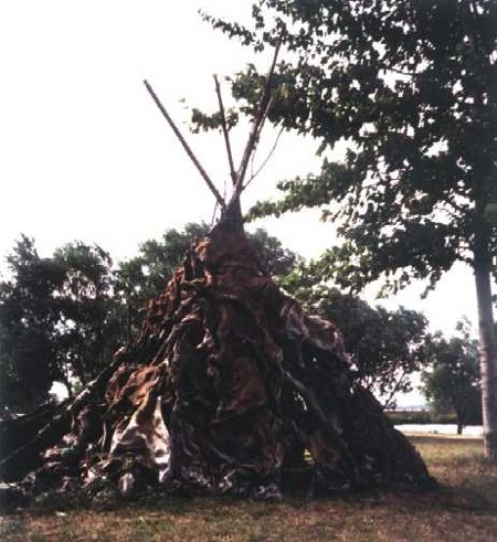 Paleolithic hunting tent