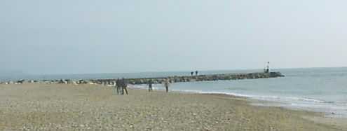 Hengistbury Head The Long Groyne