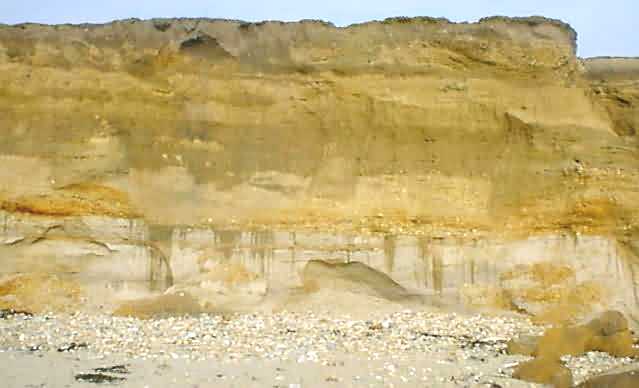 Boscombe Sands (the bottom stratum) is clearly visible here