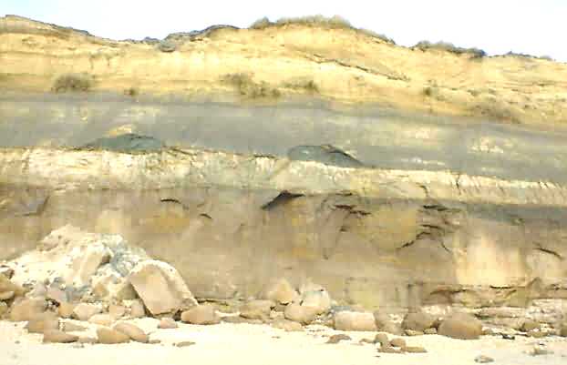 New Ironstonedoggers on the beach
