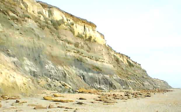 Hengistbury Head cliffs