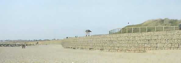 Gabion Revetment