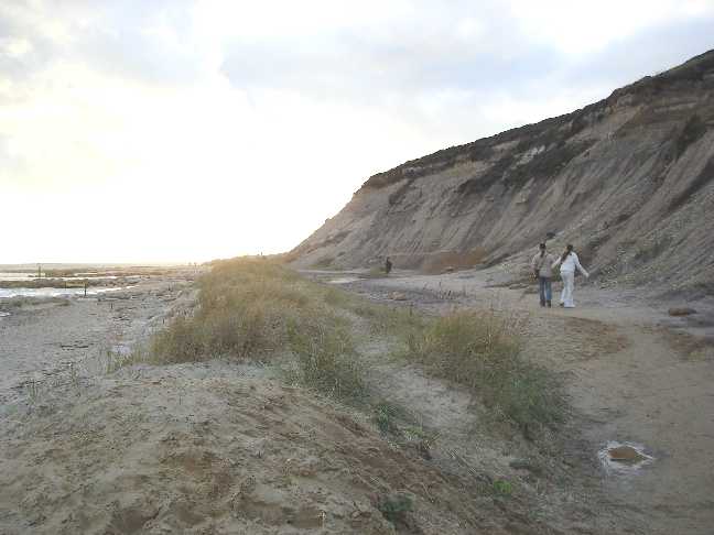 Hengistbury Head eastern end of beach