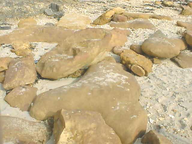 Hengistbury Head Iron Stone Doggers