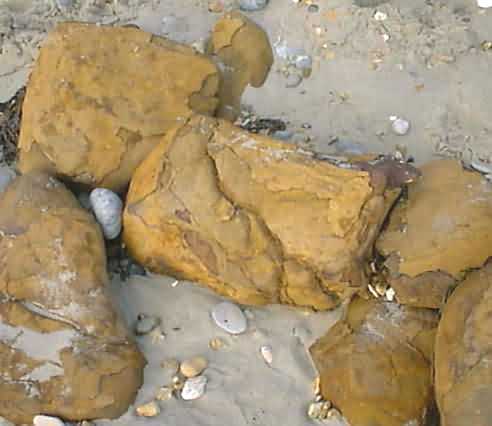Ironstone Doggers on the beach