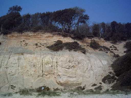 The cliffs below Steamer Point Nature Reserve